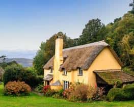 Cottages & Houses
